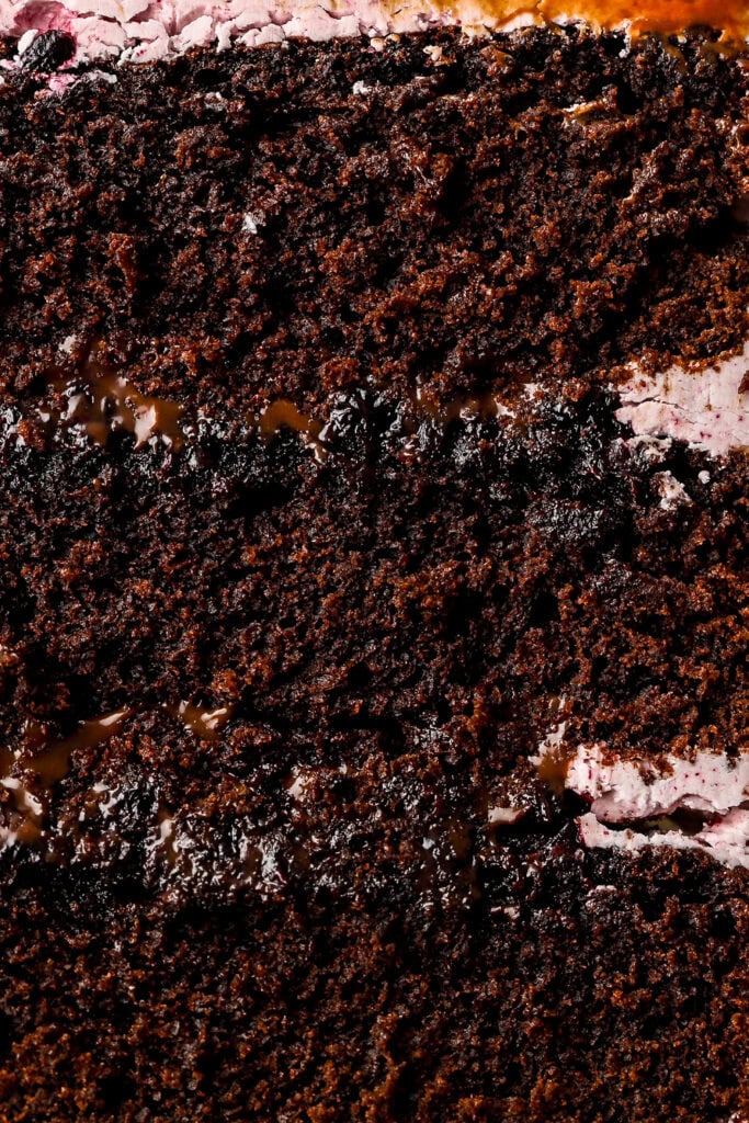 close up of inside of blueberry chocolate cake