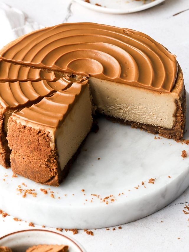 biscoff cheesecake, sliced with cookie butter swirl