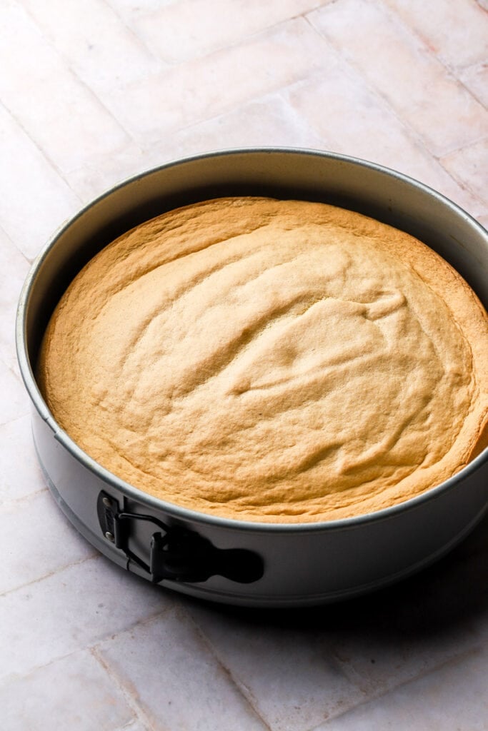 Italian Sponge Cake Recipe - Pan di Spagna - She Loves Biscotti