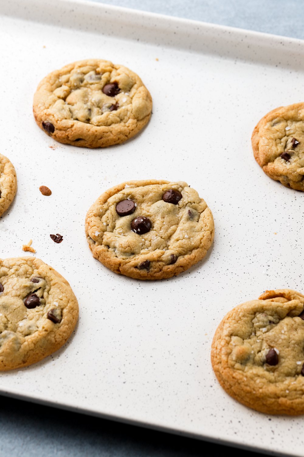 Chocolate Chip Egg Yolk Cookies Baran Bakery