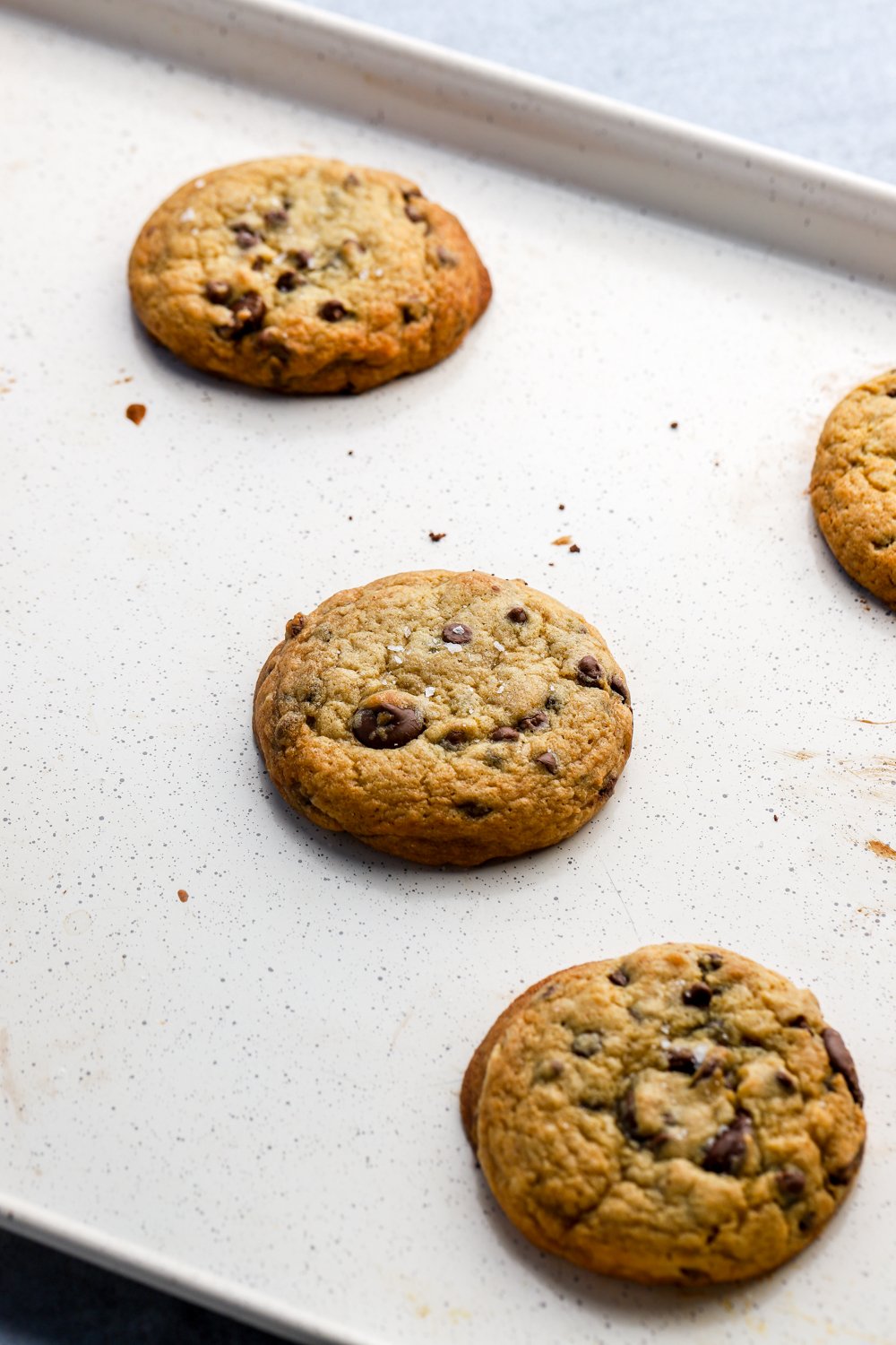 Egg White Chocolate Chip Cookies - Baran Bakery