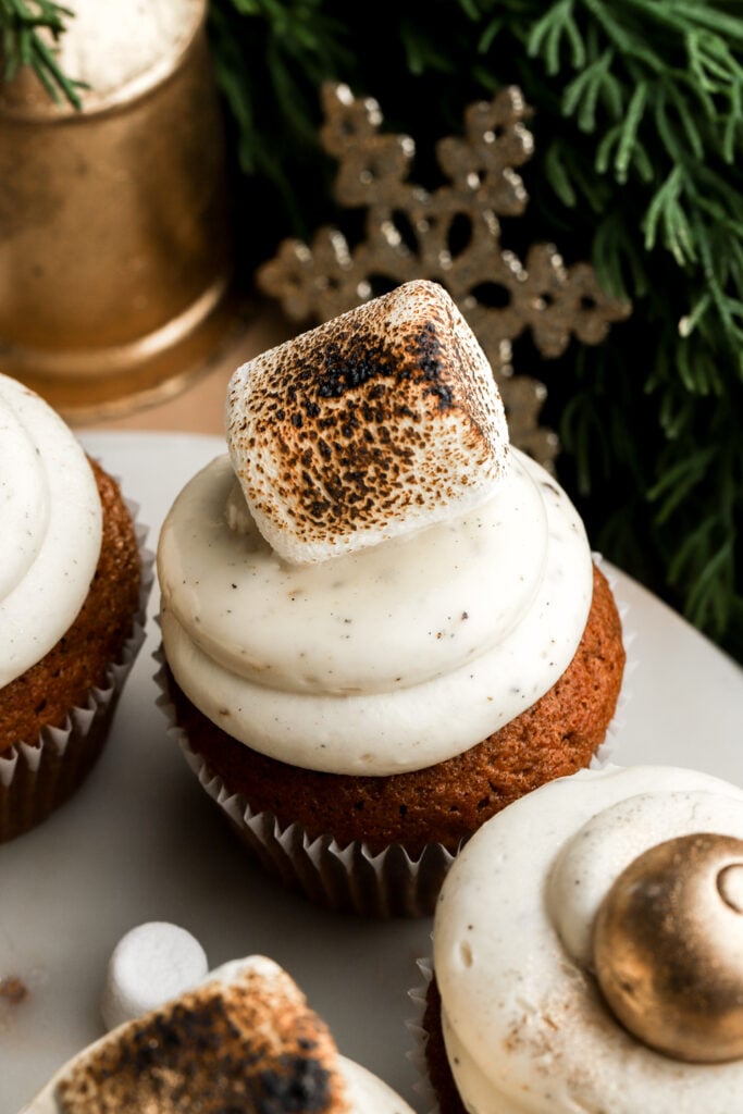 close up of a gingerbread cupcake with a toasted marshmallow on top
