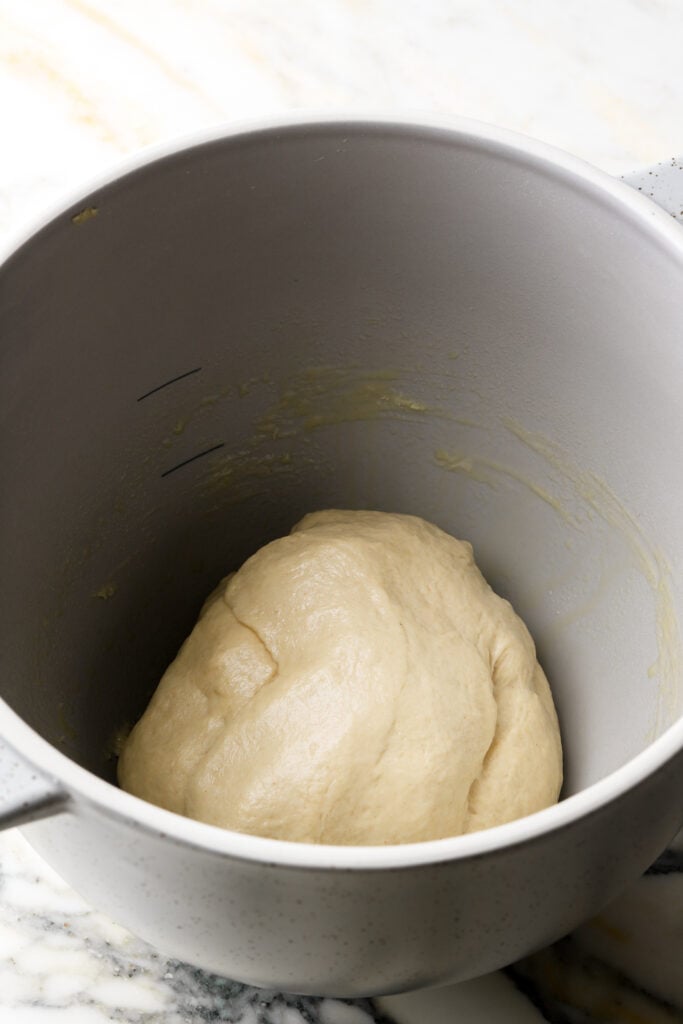 dough kneaded for about 10 minutes