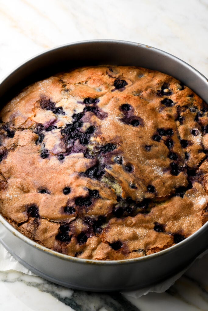 baked blueberry muffin cake