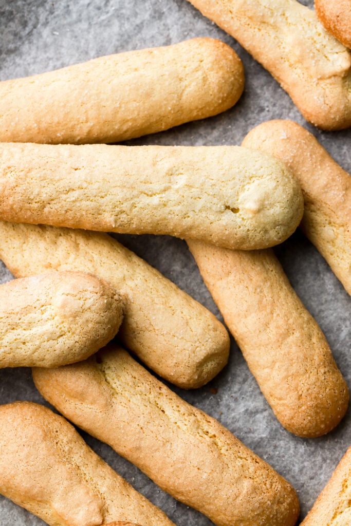 close up of lady fingers/savioardi biscuits