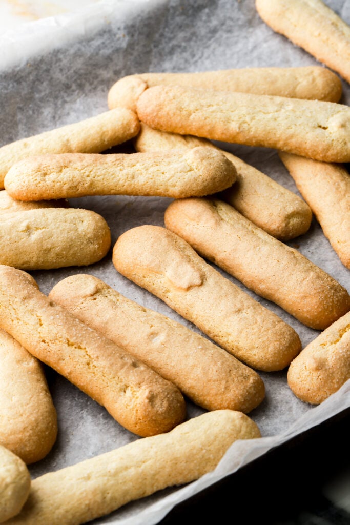 savoiardi biscuits/lady fingers in a tray