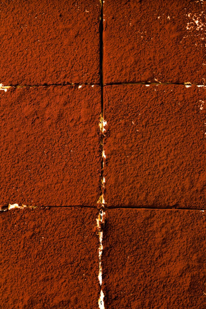 close up of tiramisu topped with cocoa powder and sliced