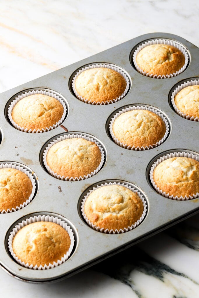 cupcakes finished baking