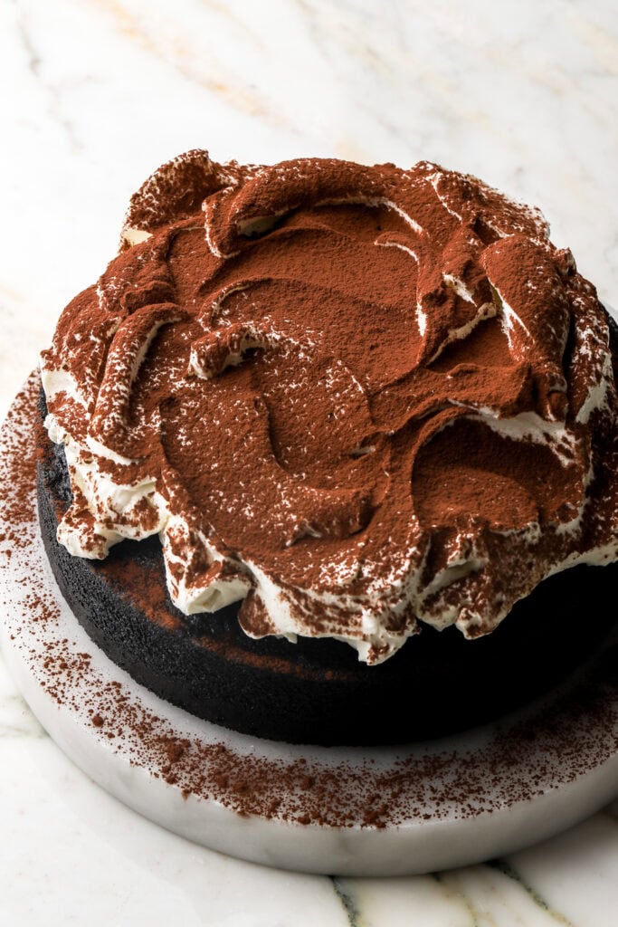 cake dusted with cocoa powder