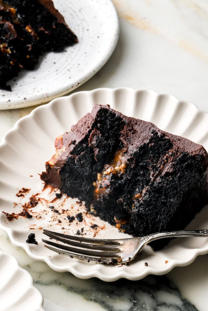 slice of turtle cake on a plate