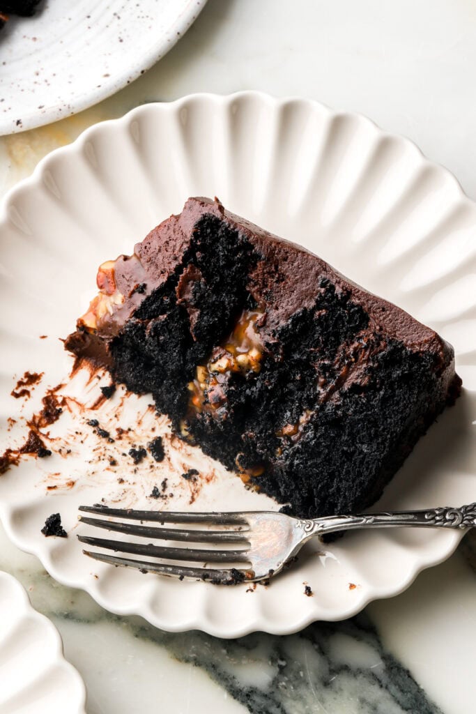 slice of turtle cake on a plate