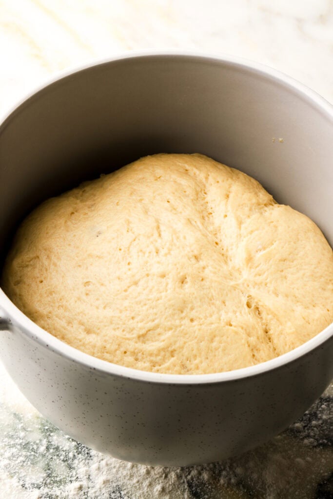 dough after proofing