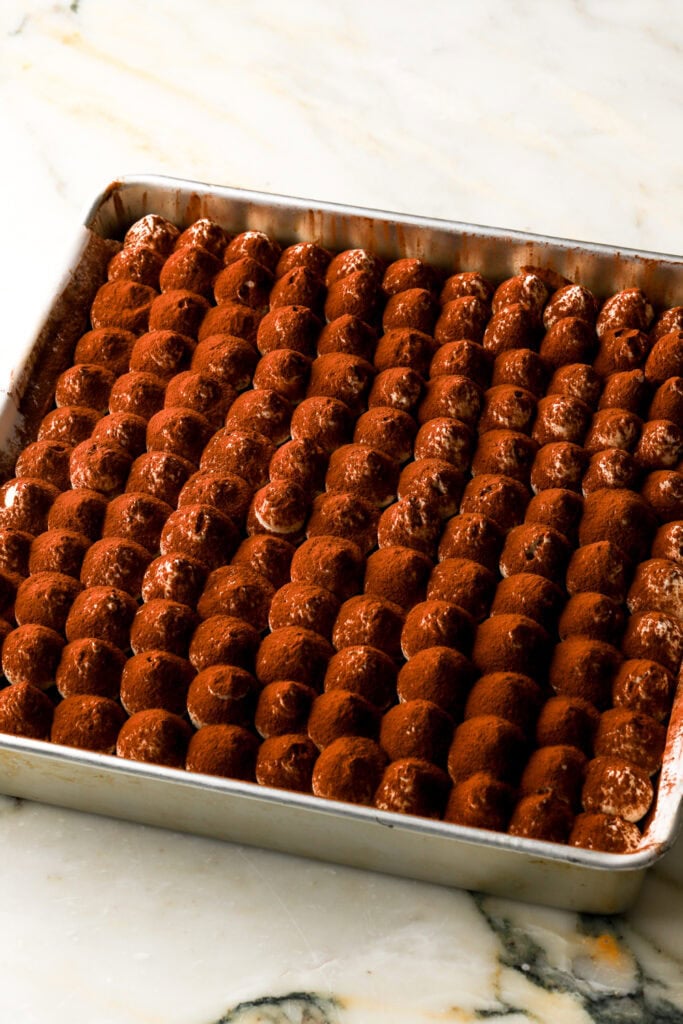 cake dusted with cocoa powder