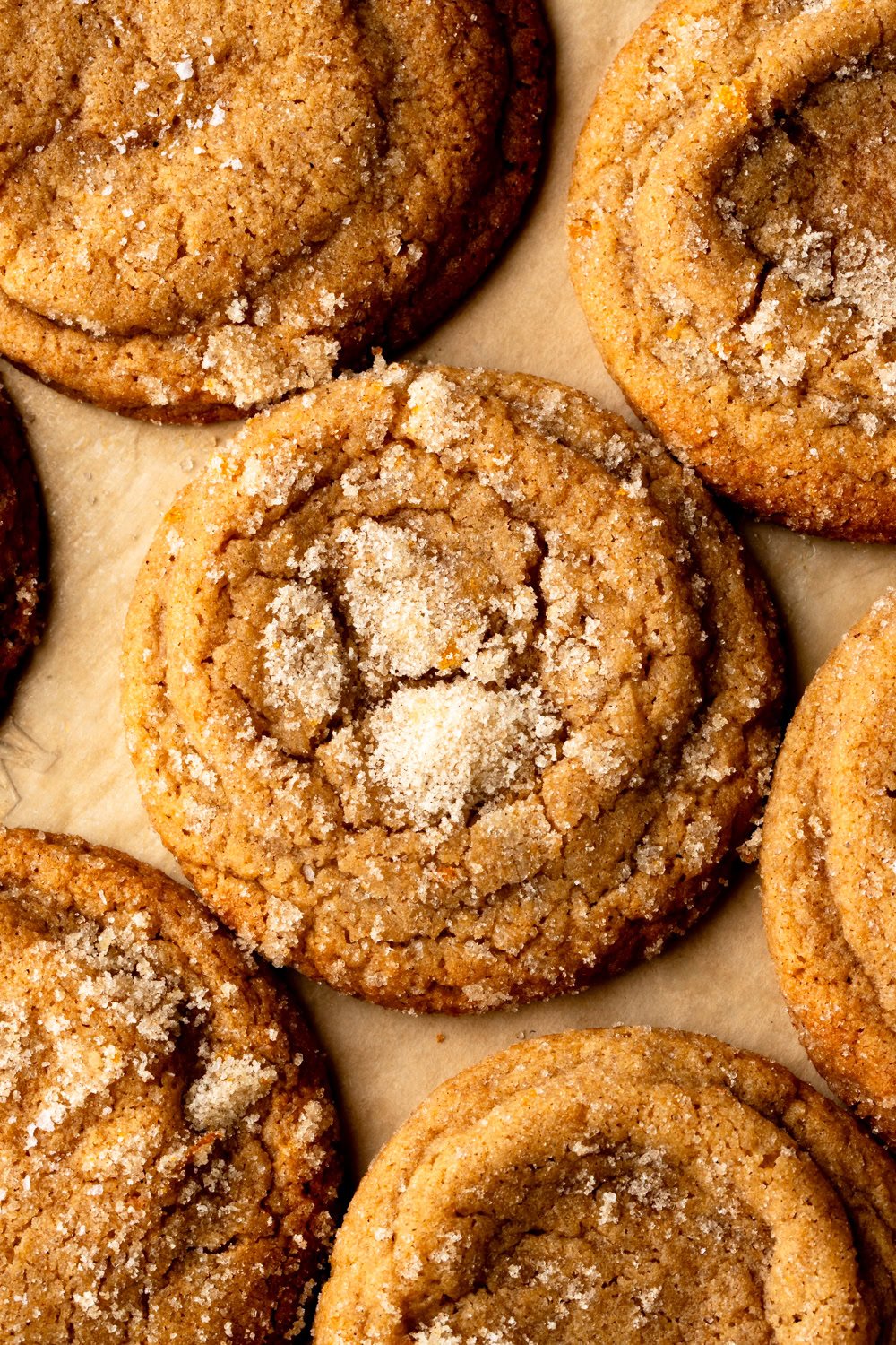chewy gingerbread cookies close up on a cookie sheet