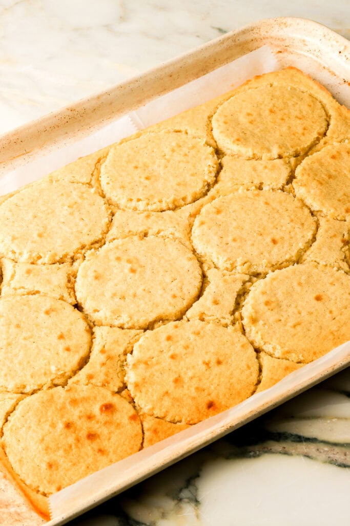 12 circles cut out of vanilla cake to make mini cakes