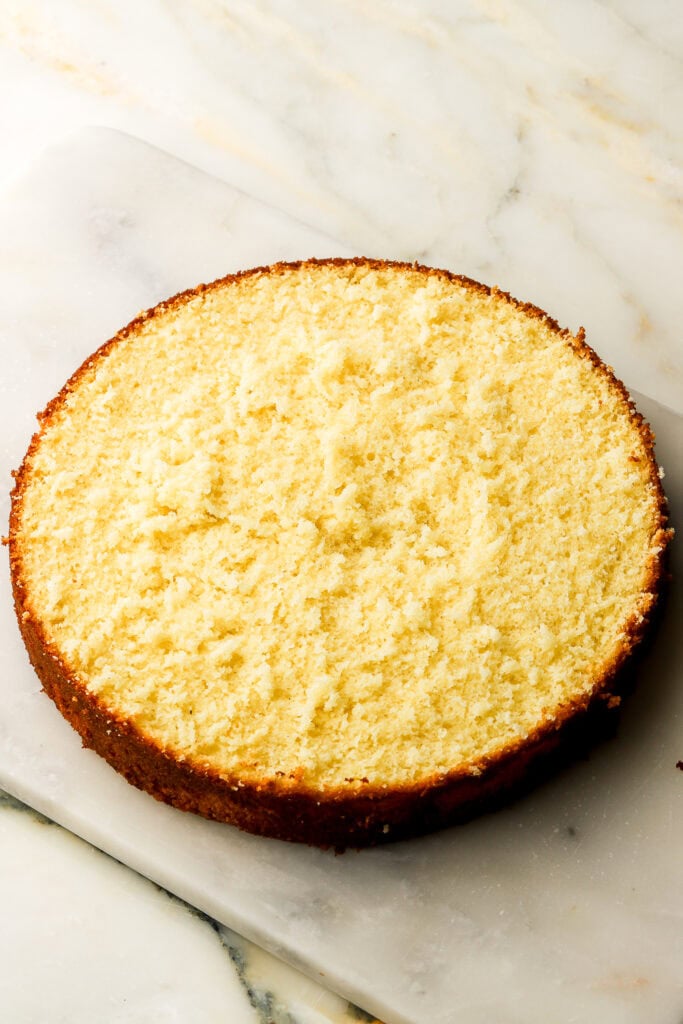 Hot milk sponge cake sliced in half