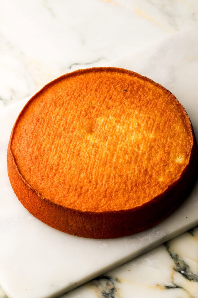 1 8-inch layer of a hot milk sponge cake on a cutting board with a marble background