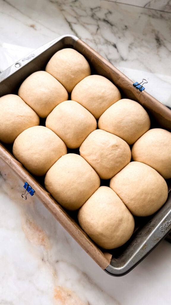 dough after second proof in prepared pan 