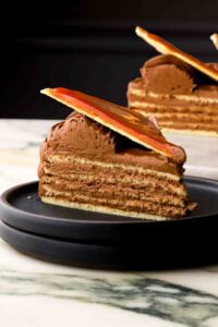 Hungarian Dobos Torte