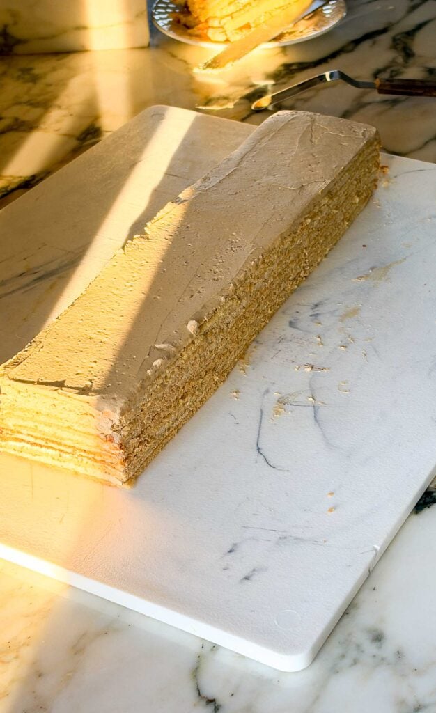 cake fully assembled before decorating